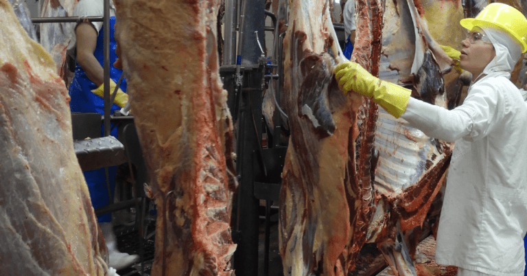 Pelo menos 5 fábricas de carne deixam de exportar à China.