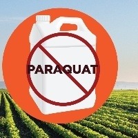 Anvisa mantém proibição do uso e da comercialização do herbicida Paraquate