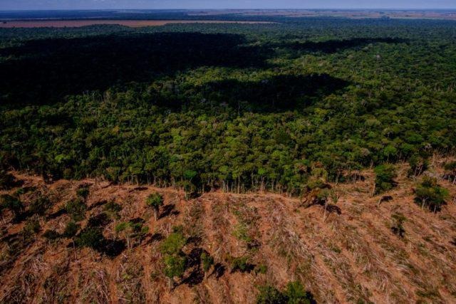 Agronegócio e ONGs apresentam juntos propostas contra desmatamento na Amazônia