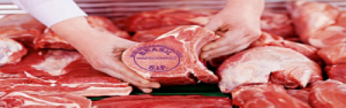 Carne suína registra alta nas cotações no mês de setembro, segundo Cepea.