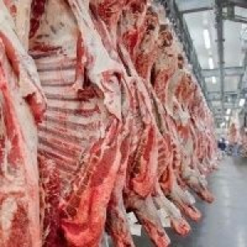 Carne bovina brasileira será crucial para comércio global.