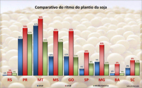 Plantio da soja ganha ritmo no Brasil e já supera média histórica.