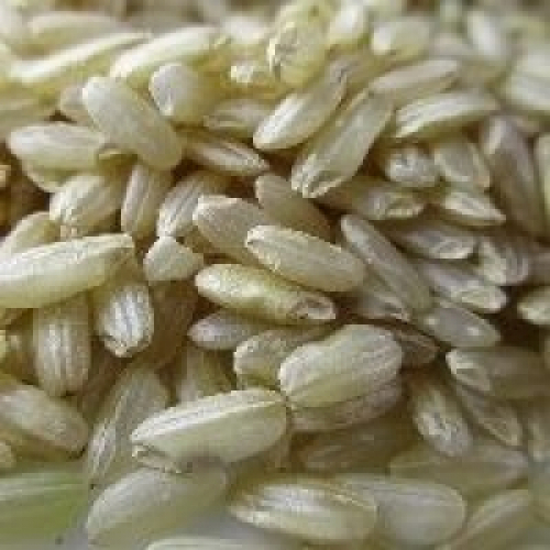 Menores estoques de arroz e possível redução de área sustentam cotações no spot.
