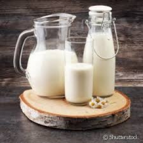 Preços lácteos voltam a cair em outubro, diz Cepea.