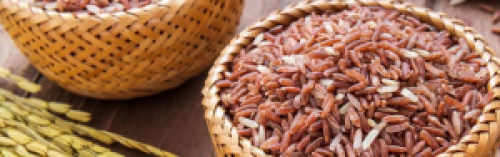 Arroz – Balanço Semanal: Com incerteza no clima, cotação do arroz segue firme.