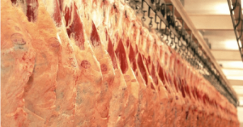 Exportação de carne deve ser a maior da história em 2019.