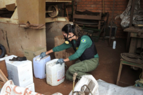 Em 2019, Ibama apreendeu mais de 8 toneladas de agrotóxicos irregulares