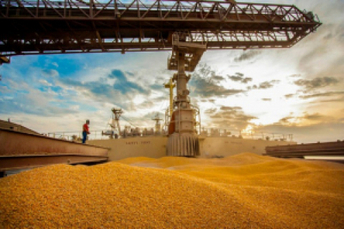  ‘Brasil, maior exportador de milho do mundo, vai ter falta do grão em 2020’.