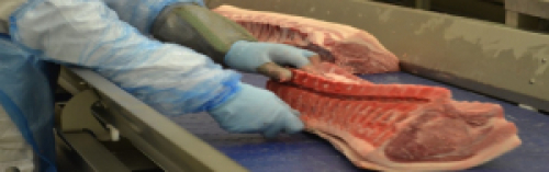 Coronavírus começa a impor pressão sobre preço e oferta da carne suína.