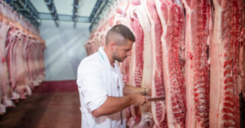 Sauditas aumentam compra da carne bovina brasileira.