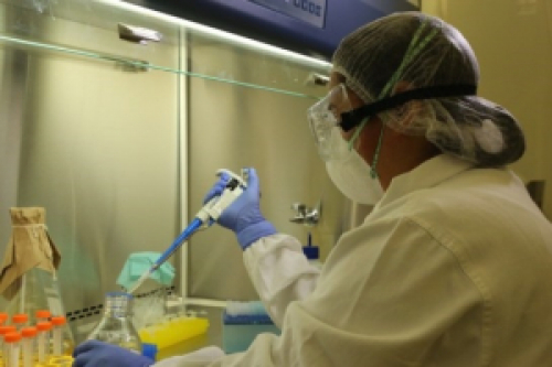 Laboratórios da Embrapa vão ser usados para testes do coronavírus.