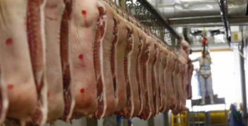 Exportação de carne suína aumenta para 72,1 mil t em março, aponta ABPA.