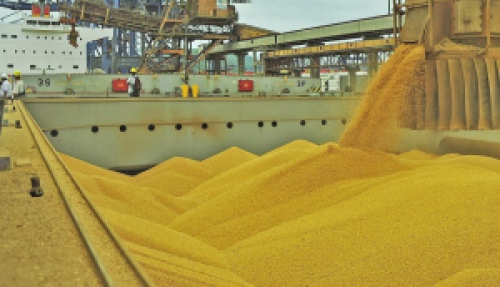 Exportações de soja somam 15,512 mi de toneladas em maio, indica Secex.