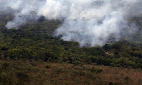 Decreto proíbe queimadas em todo o Brasil por 120 dias.