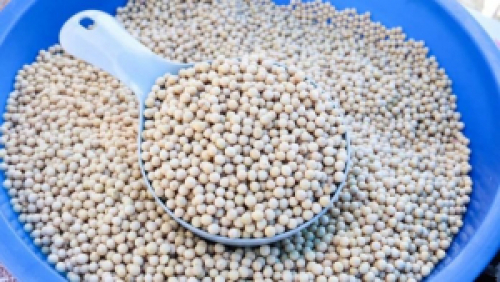 Escassez de produto mantém mercado de soja travado no Brasil