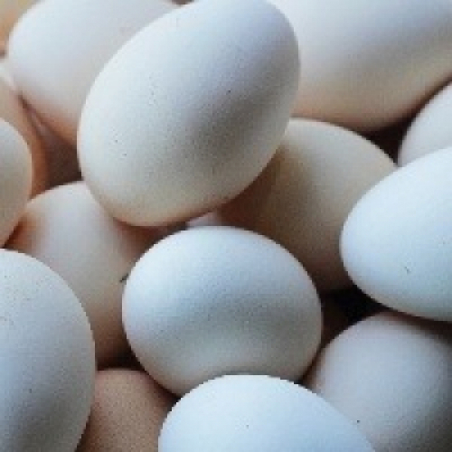 México abre mercado para ovos do Brasil