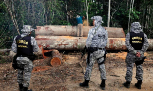 Governo prorroga uso da Força Nacional na Amazônia