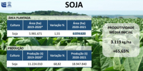 Atrasado: com tempo seco, ritmo de plantio da soja diminui no Rio Grande do Sul