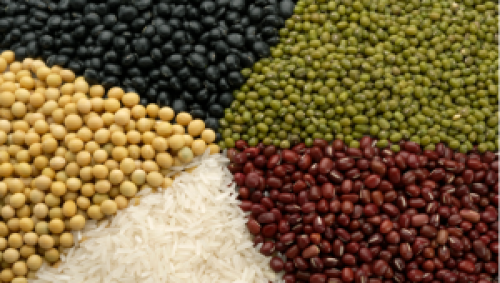 Brasil deve colher 268,942 milhões de tonaladas de grãos na safra 2020/21 – Conab