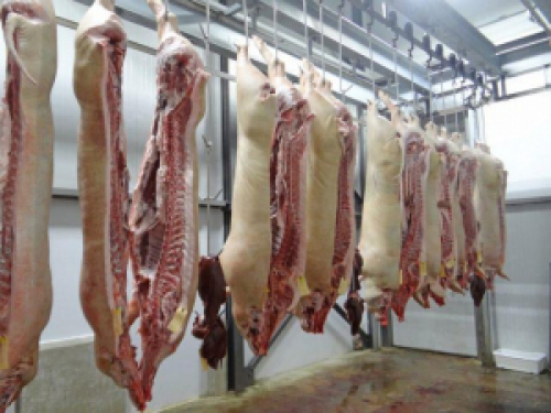 Exportação de carne suína cresce mais de 40% em volume e receita
