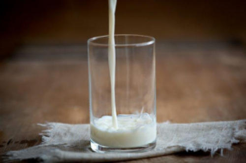 Após cinco meses em alta, preço do leite recua mais de 5% em novembro
