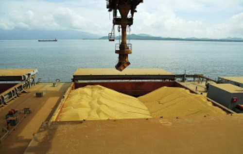 Soja: Brasil deve exportar até 14,9 mi de toneladas em maio, prevê Anec