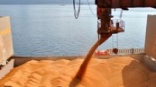 Anec reduz projeção de embarque de soja do Brasil em junho