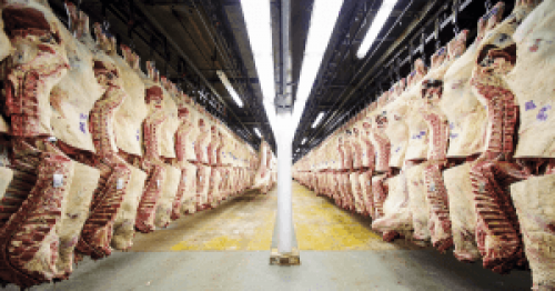 Carne bovina: Embarques do Brasil ganham força na terceira semana do mês