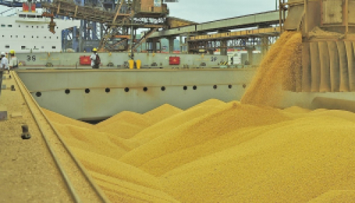 Brasil deve embarcar até 10,25 milhões de t de soja em junho, aponta ANEC