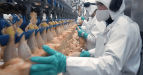 Carne de frango: Nova cota do México para importação deve beneficiar o Brasil