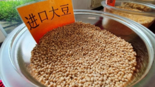 China: Importações de soja devem passar de 105 mi de t, mesmo com ritmo mais tímido de compras agora