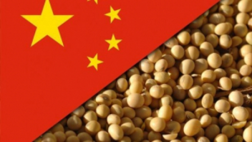 China compra 10 navios de soja do Brasil na semana e cancela compras nos EUA nesta 4ª