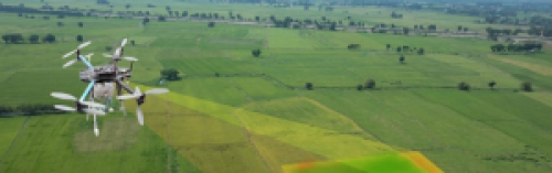 Agricultura de Precisão: 5 startups de drones agrícolas para ficar de olho