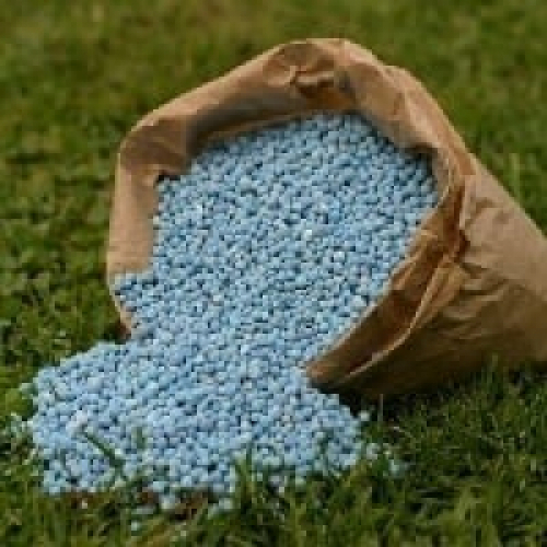 Consumo de fertilizantes de nitrogênio crescerá 3% 