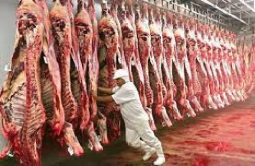 Volume de carne bovina estocada preocupa mercado, diz Safras