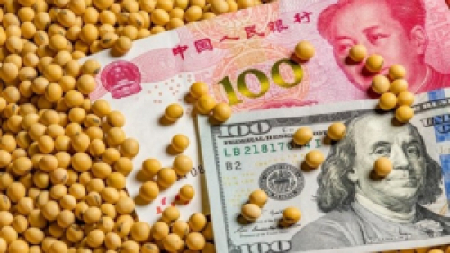 China encerra semana fazendo compras - ainda tímidas - de soja nos EUA e no Brasil
