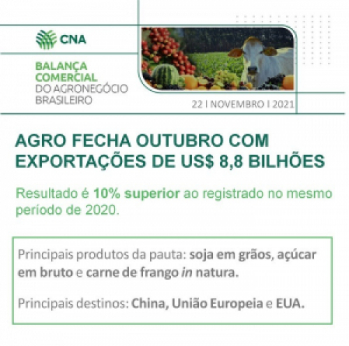 Agro fecha outubro com exportações de US$ 8,8 bilhões