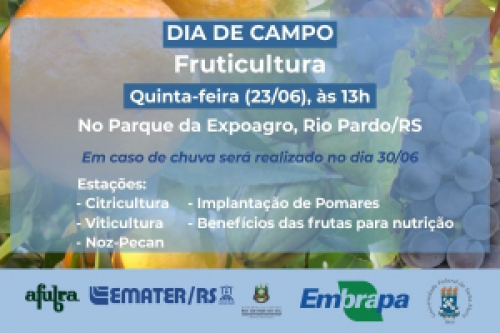 Inscrições abertas para Dia de Campo sobre Fruticultura em Rio Pardo
