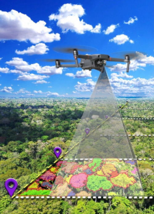 Geotecnologias vão fortalecer manejo florestal na Amazônia
