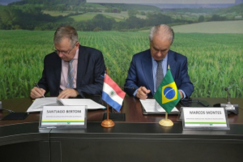 Brasil e Paraguai assinam acordo para ações conjuntas na área de saúde animal