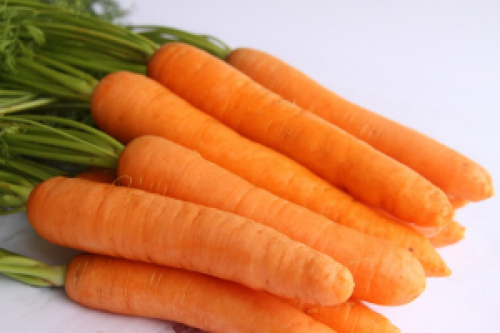 BRS Carmela: nova cultivar de cenoura agrega valor à cadeia produtiva de hortaliças