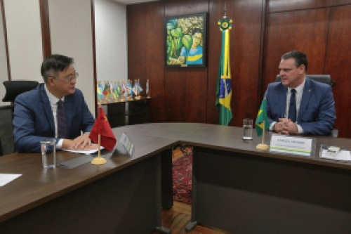 Ministro Fávaro recebe embaixador da China para tratar do caso de EEB no Brasil