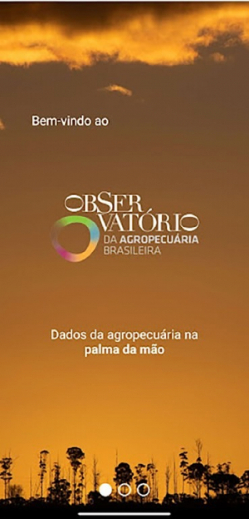 Dados da agropecuária brasileira já podem ser consultados em aplicativo