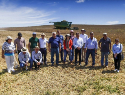 AgroBrazil: delegações estrangeiras visitam cooperativa e fazenda de grãos