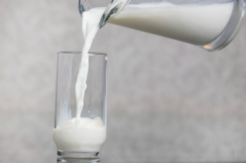 Câmara Setorial debate ampliação do prazo das tarifas de importação de lácteos