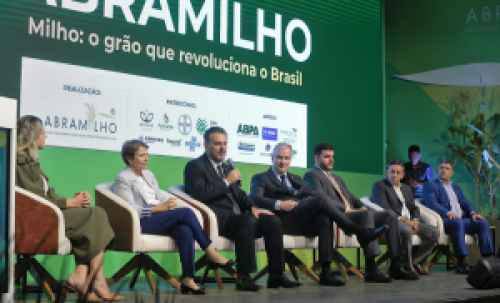 Milho se consolida cada vez mais como grande vocação brasileira, afirma Fávaro
