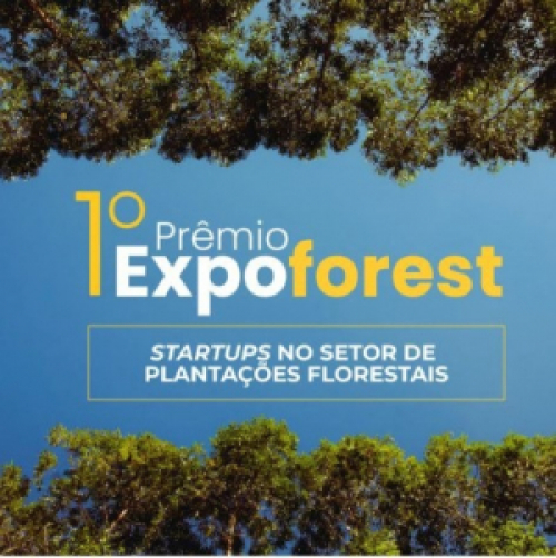 Mapa vai premiar startups com soluções inovadoras para o setor florestal