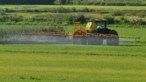 Secretaria da Agricultura alerta sobre uso correto de herbicidas hormonais