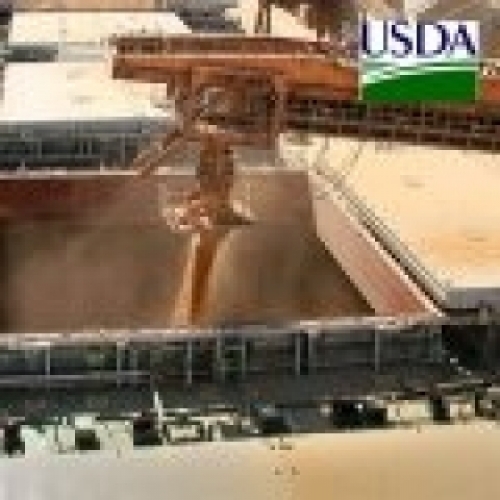 USDA: Embarques semanais de soja dos EUA ficam abaixo das expectativas.