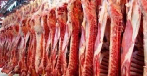 Embarques de carne bovina atingem 528,523 mil t no 1o quadrimestre, indica Abiec.